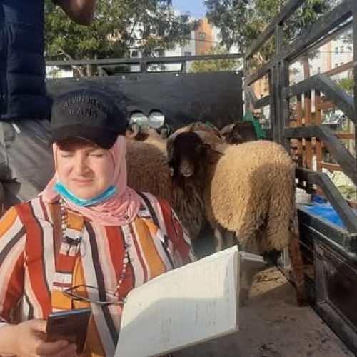 474536481_1432754568101702_558254020129822349_n